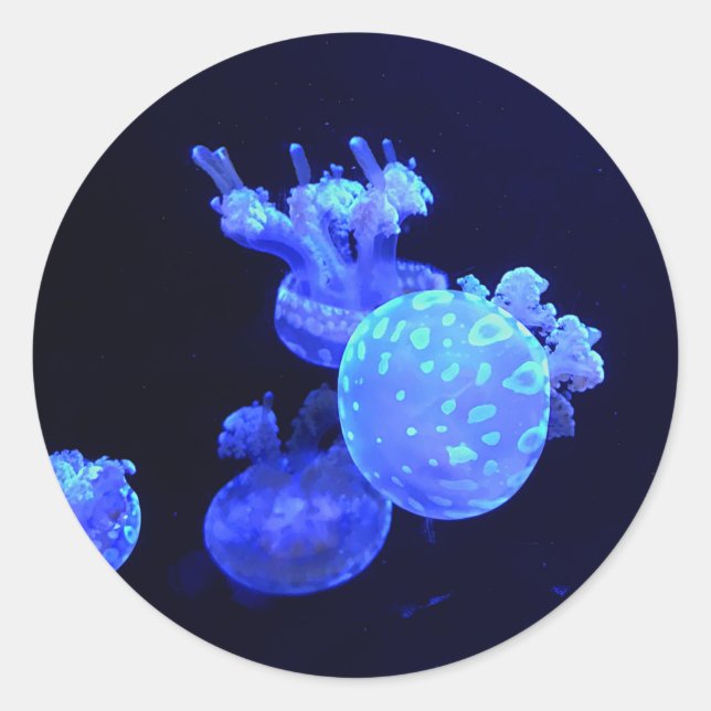 Spotted Lagoon Jelly #1 Stickers (Front)