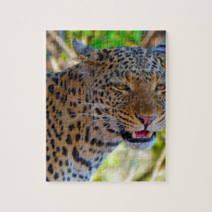 Spotted Leopard Jigsaw Puzzle
