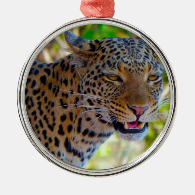 Spotted Leopard Metal Ornament (Front)