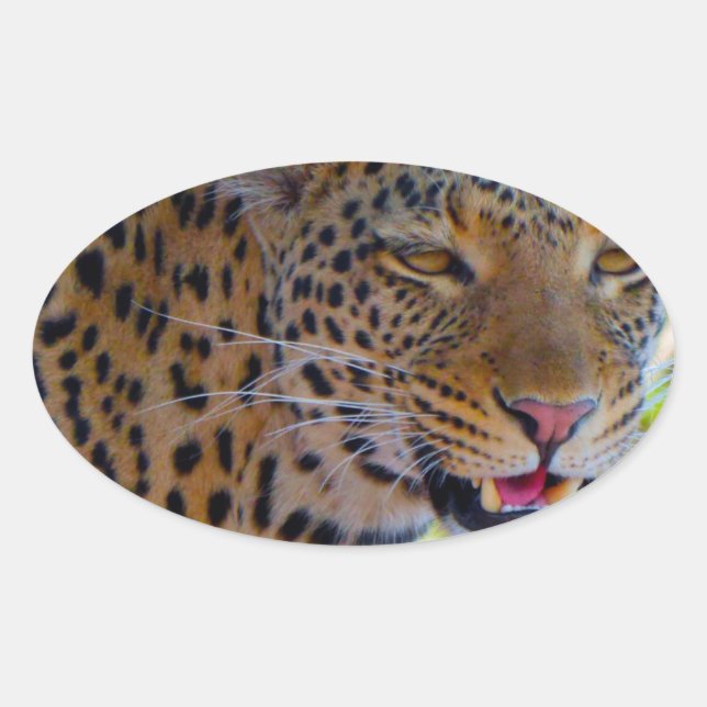 Spotted Leopard Oval Sticker (Front)