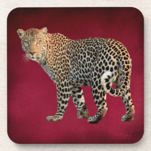 Spotted Leopard Wild Cat Photograph Coaster