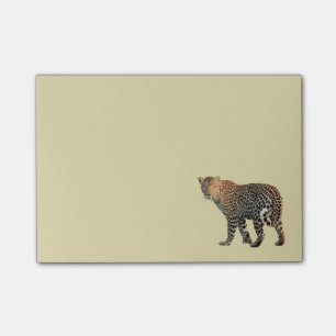 Spotted Leopard Wild Cat Photograph Post-it Notes