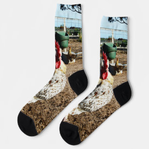 **"Spotted Majesty: The Speckled Farm Rooster"** Socks