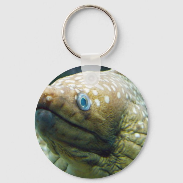 Spotted Moray Eel Key Ring (Front)