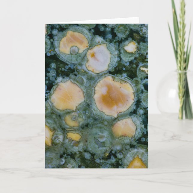 Spotted Ocean Jasper Card (Front)
