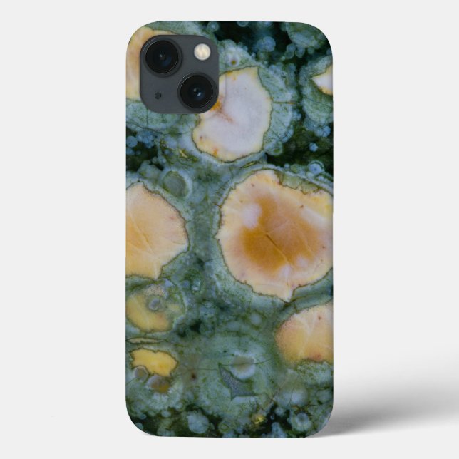 Spotted Ocean Jasper Case-Mate iPhone Case (Back)
