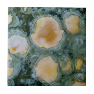Spotted Ocean Jasper Ceramic Tile