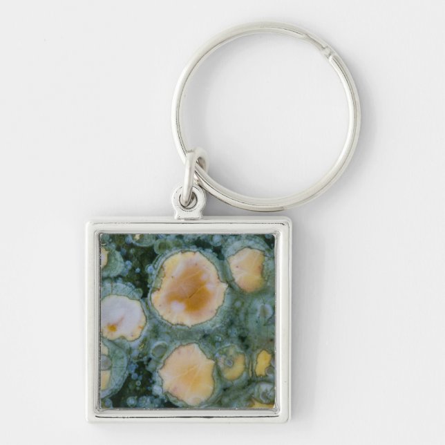 Spotted Ocean Jasper Key Ring (Front)