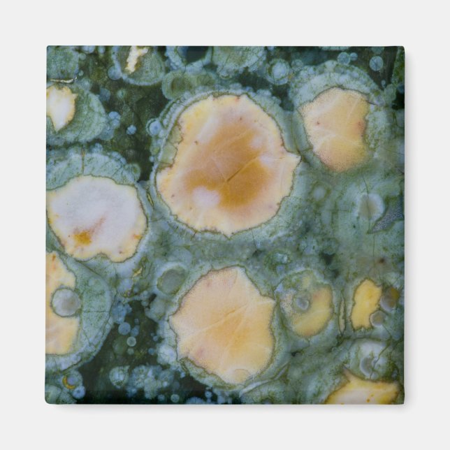 Spotted Ocean Jasper Magnet (Front)