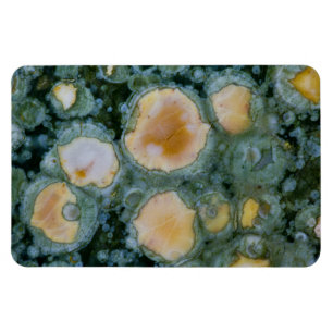 Spotted Ocean Jasper Magnet