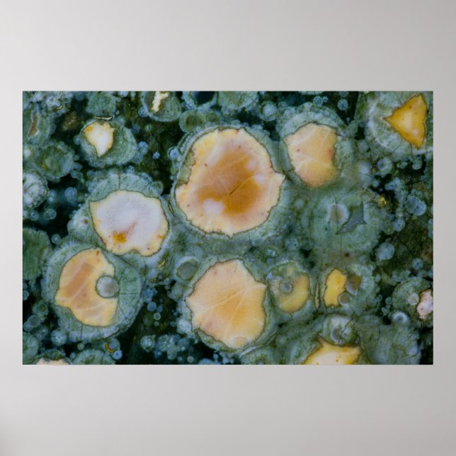 Spotted Ocean Jasper Poster (Front)