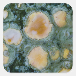 Spotted Ocean Jasper Square Sticker
