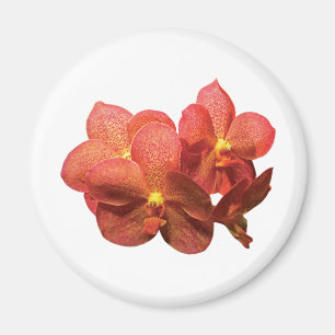 Spotted Orange Orchids Magnet