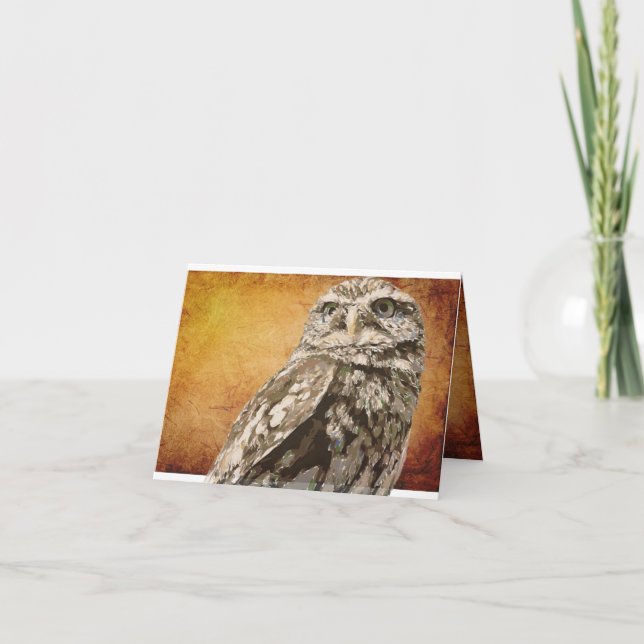 Spotted Owl Notecard (Front)
