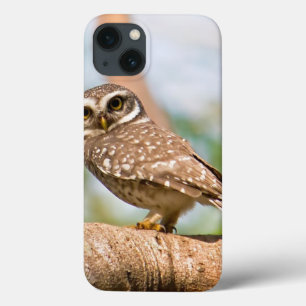 Spotted owl on morning flight. iPhone 13 case
