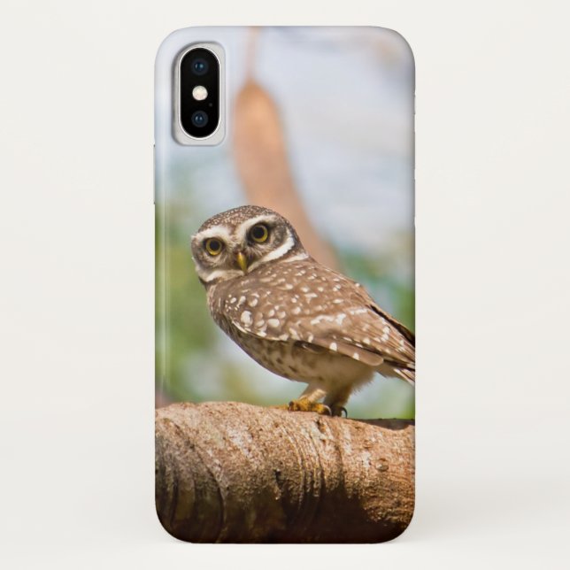 Spotted owl on morning flight. Case-Mate iPhone case (Back)