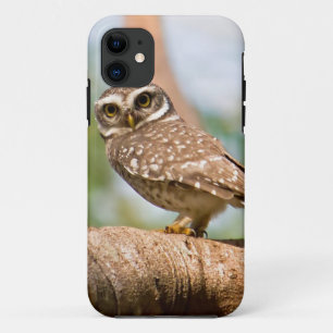 Spotted owl on morning flight. iPhone 11 case