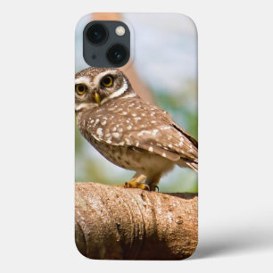 Spotted owl on morning flight. iPhone 13 case