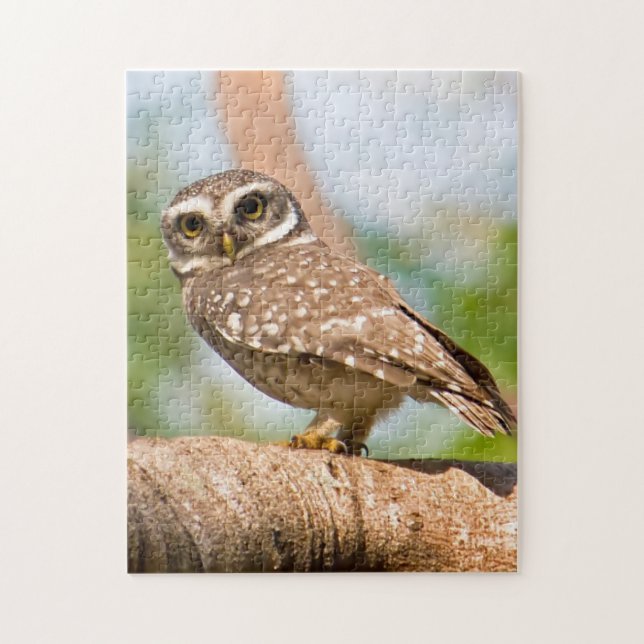 Spotted owl on morning flight. jigsaw puzzle (Vertical)