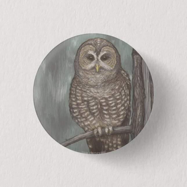 Spotted Owl Pin (Front)