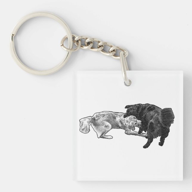 Spotted Pals, Pocket Art Key Ring (Front)