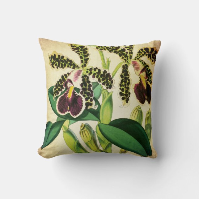 Spotted Phalaenopsis Orchid Vintage Botanical Cushion (Front)