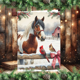 Spotted Pinto Horse and Cardinals Personalised Holiday Card