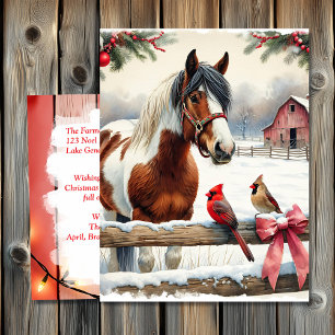 Spotted Pinto Horse and Cardinals Personalised Postcard