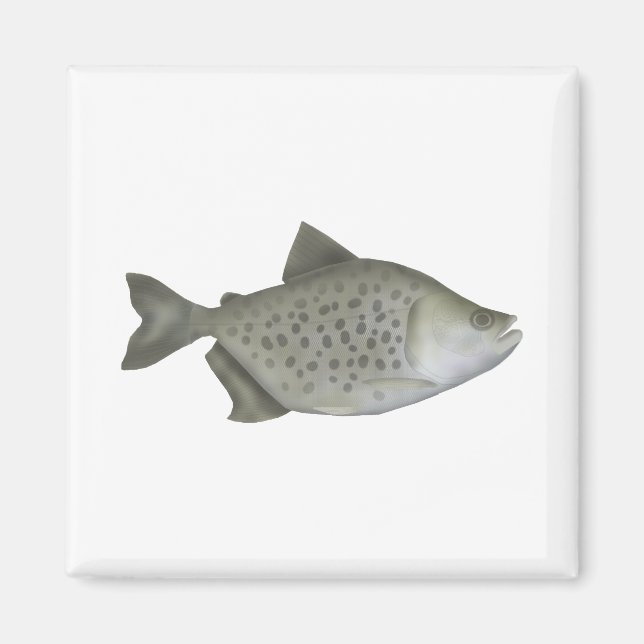 Spotted Piranha Magnet (Front)