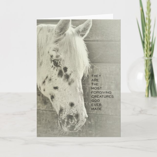 SPOTTED PONY Greeting Card (Front)