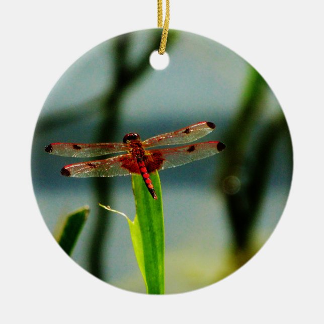 Spotted  Red and Black Dragonfly Ceramic Tree Decoration (Front)