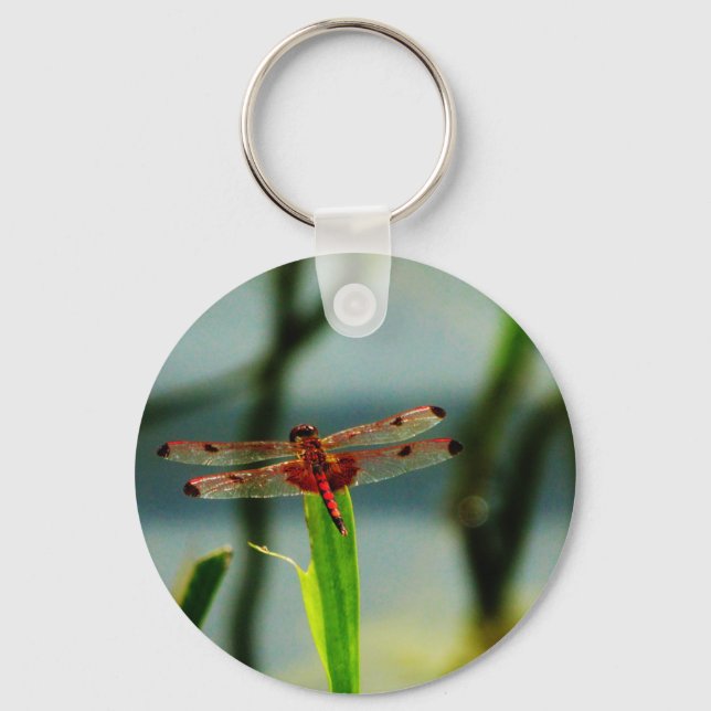 Spotted  Red and Black Dragonfly Key Ring (Front)