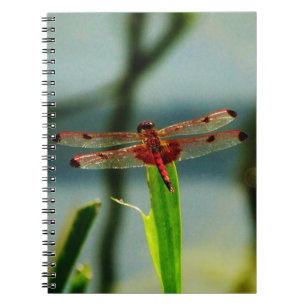 Spotted  Red and Black Dragonfly Notebook
