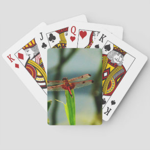 Spotted  Red and Black Dragonfly Playing Cards
