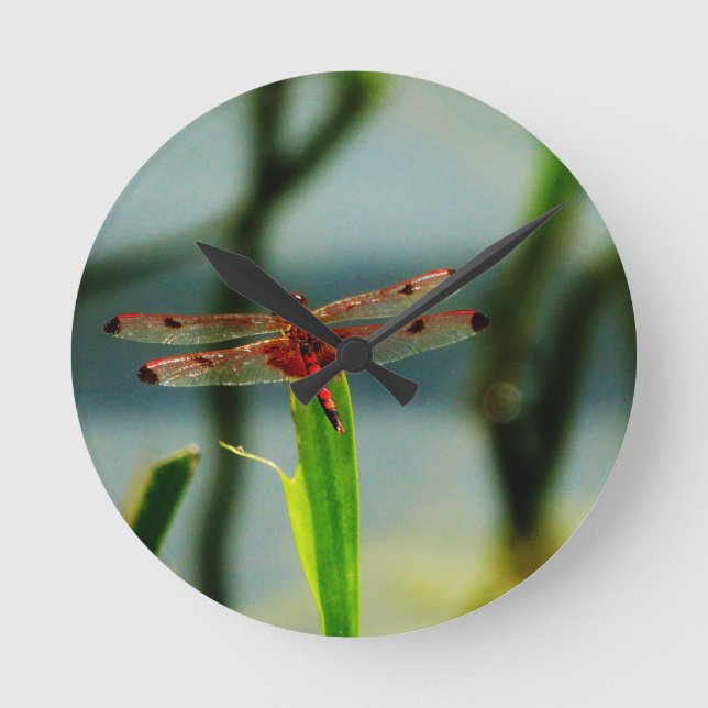 Spotted  Red and Black Dragonfly Round Clock (Front)