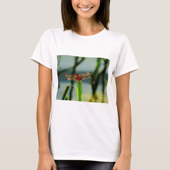 Spotted  Red and Black Dragonfly T-Shirt (Front)