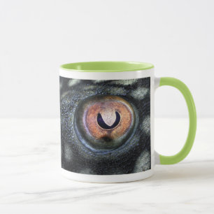 Spotted Royal Preko (Panaque Nigrolineatus) Mug