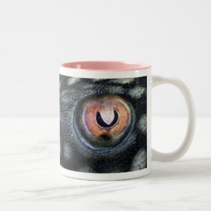 Spotted Royal Preko (Panaque Nigrolineatus) Two-Tone Coffee Mug