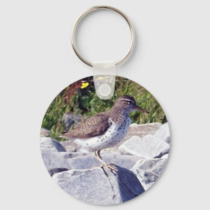 Spotted Sandpiper 1 Key Chain