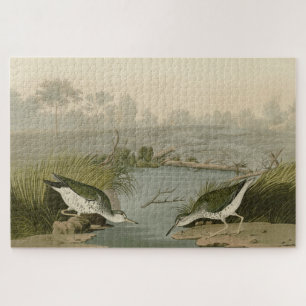 Spotted Sandpiper from Audubon's Birds of America Jigsaw Puzzle