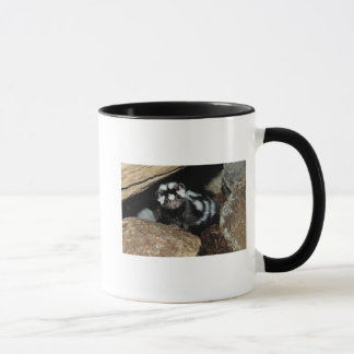 spotted skunk MUG