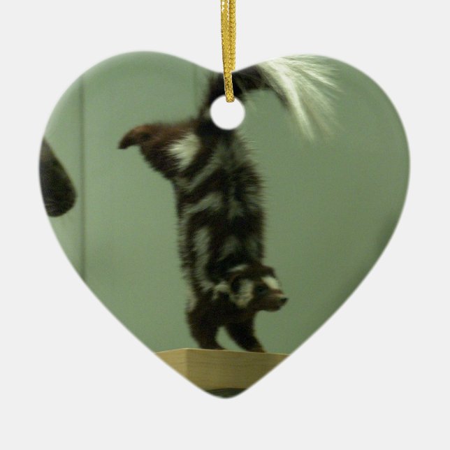 Spotted skunk; museum exhibit ceramic tree decoration (Front)