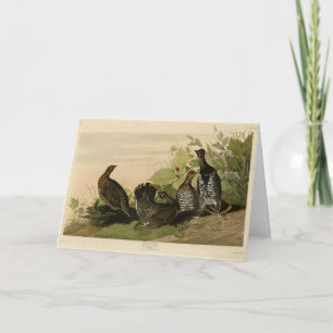 Spotted (Spruce) Grouse Audubon's Birds of America Card
