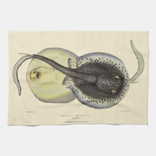 Spotted Stingrays, Vintage Marine Ocean Animals Tea Towel