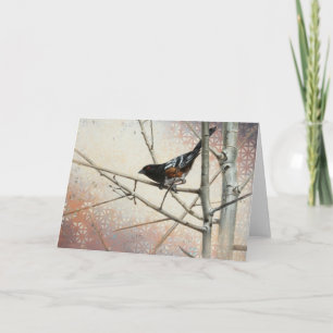Spotted Towhee Blank Card by Andrew Denman