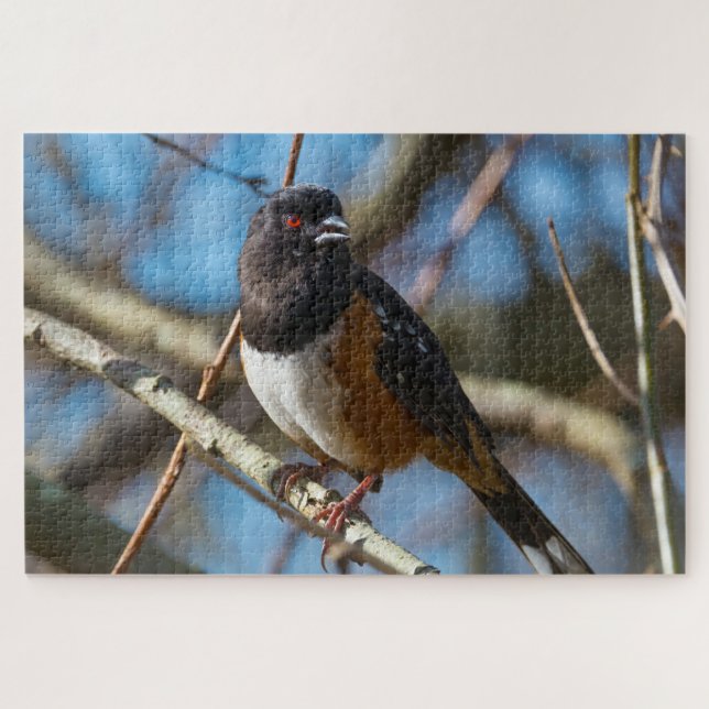 Spotted Towhee Jigsaw Puzzle (Horizontal)