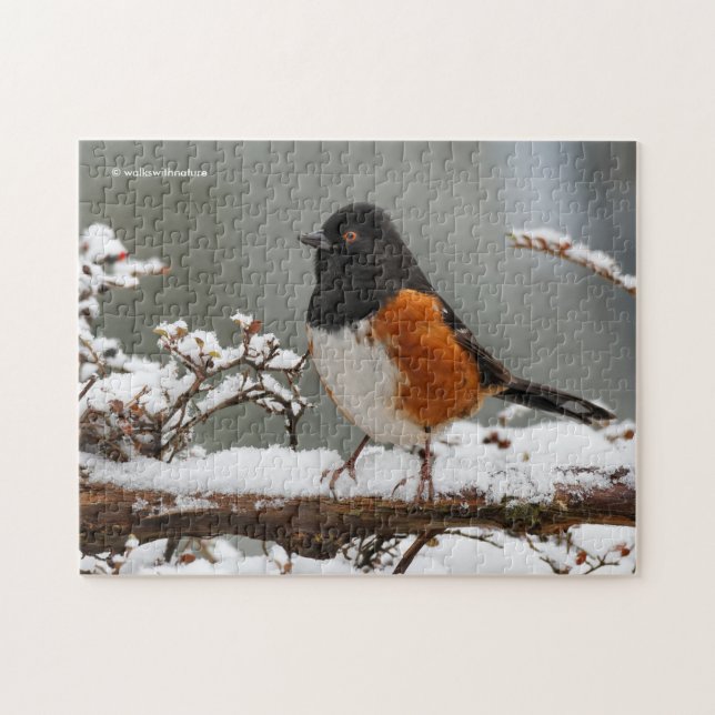 Spotted Towhee on the Grapevine Jigsaw Puzzle (Horizontal)