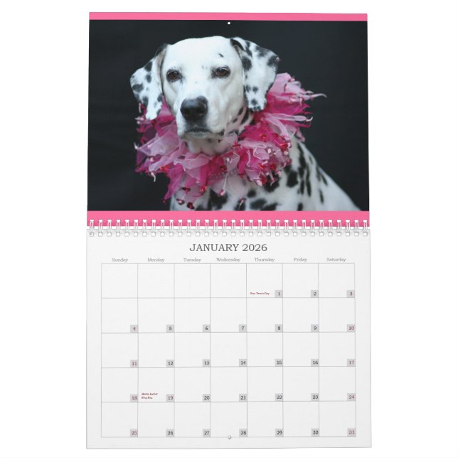Spotted Wonders Calendar (Jan 2026)