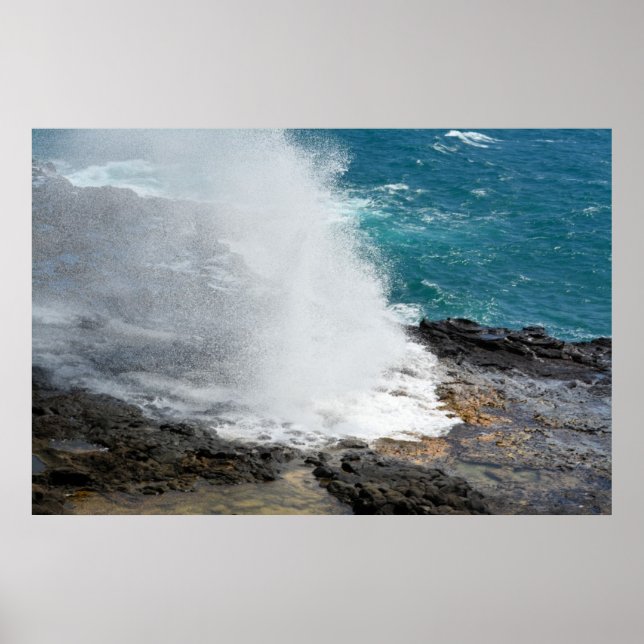 Spouting Horn Poster (Front)