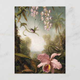 Spray Orchids with Hummingbird Postcard